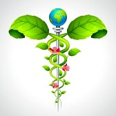 Rebecca Swan Creations Logo