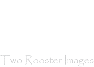 Company Logo For Two Rooster Images'