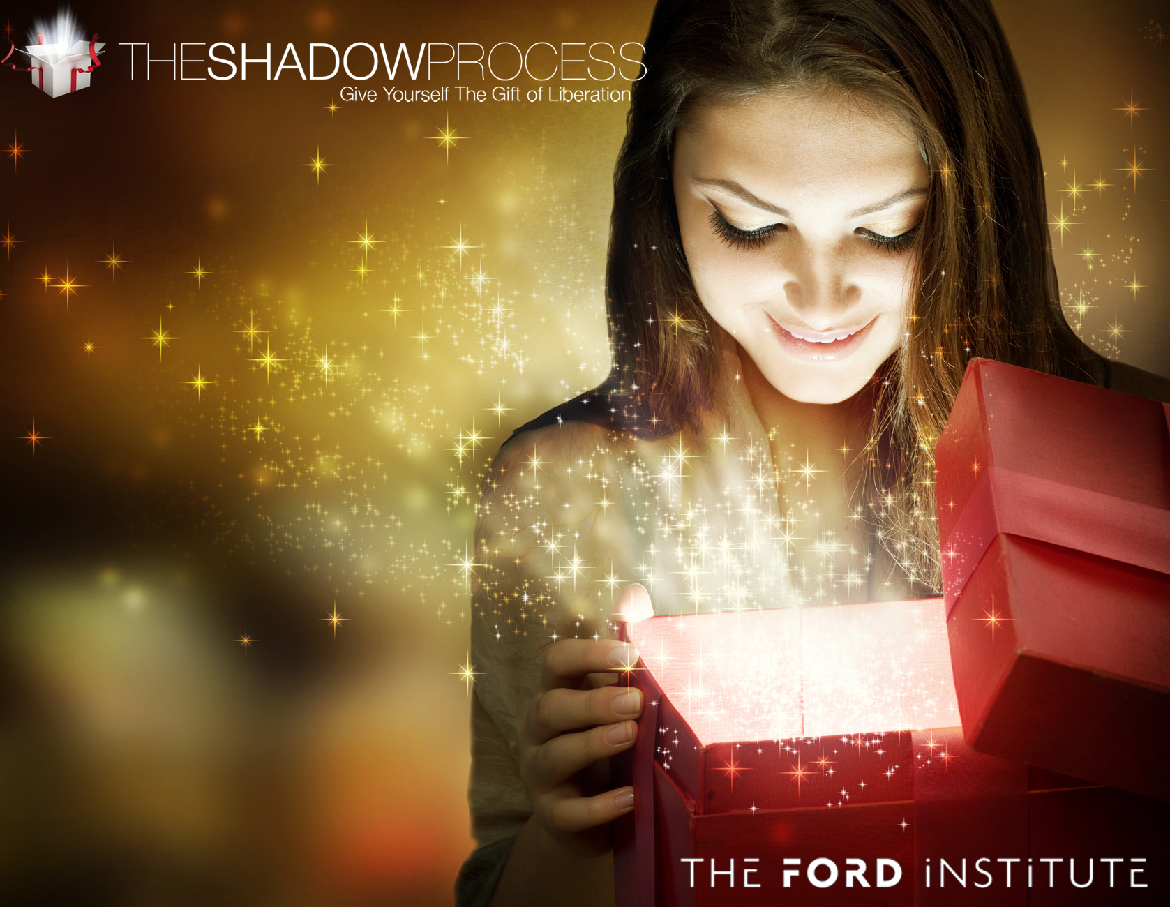 The Shadow Process - Gift'
