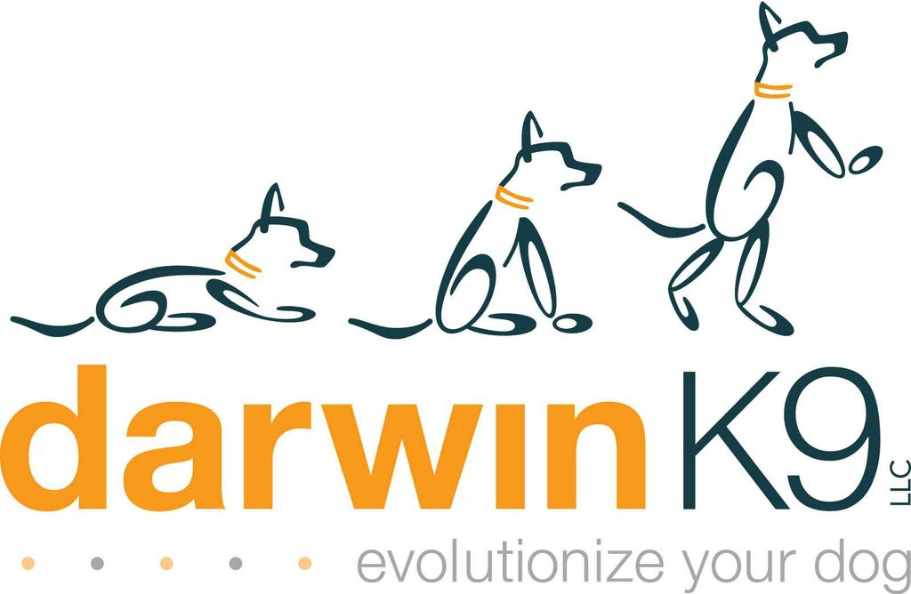 Darwin K9 Logo