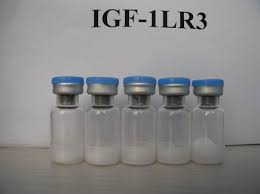 igf 1 lr3