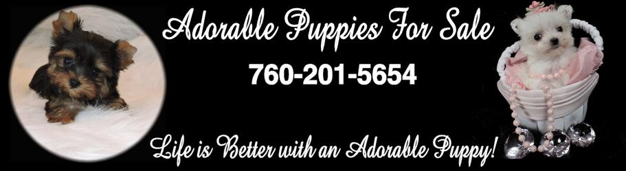 Adorable Puppies for Sale Logo