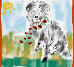Lilly and the Gull'