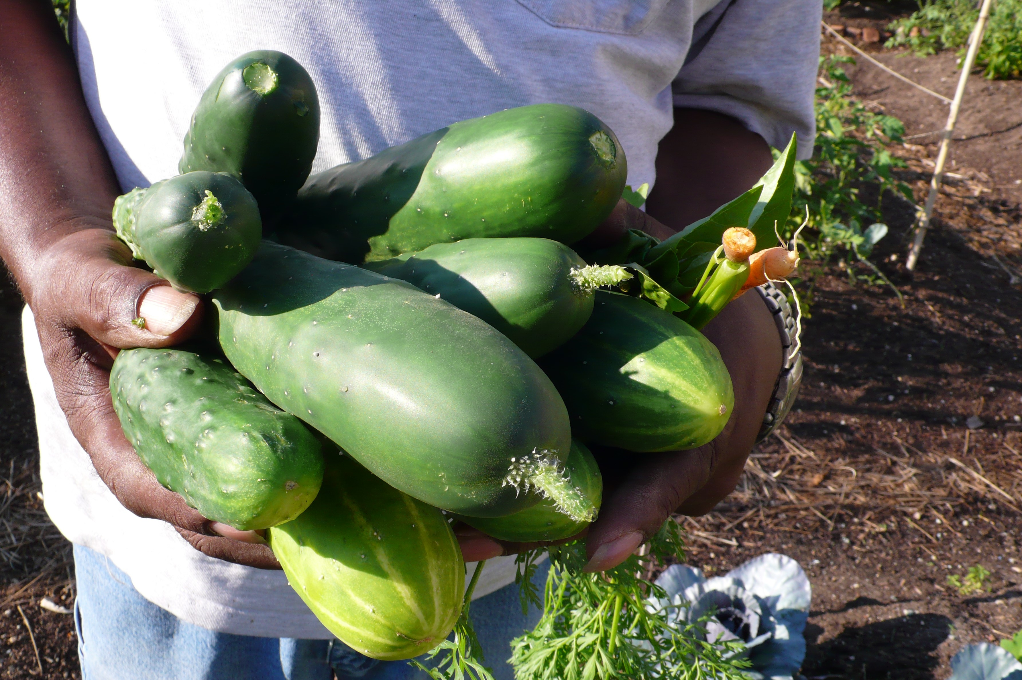 green vegetables'