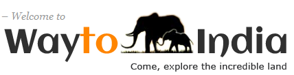 Waytoindia Logo