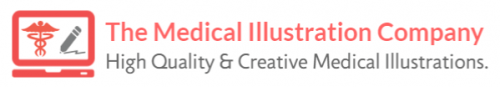 The Medical Illustration Company Logo'