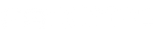 Company Logo For Fan Lyfe'