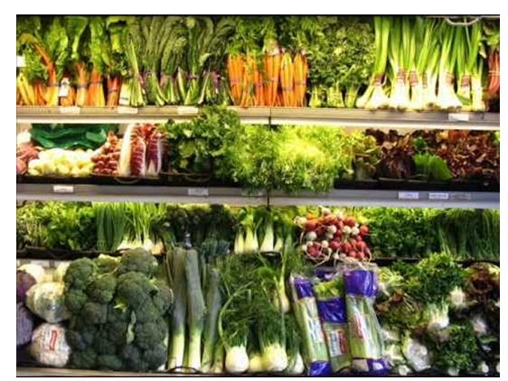 THE FUTURE OF SUSTAINABLE FOOD PRODUCTION'