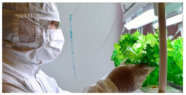 UK IKEA TO OFFER INDOOR HYDROPONIC GARDEN'