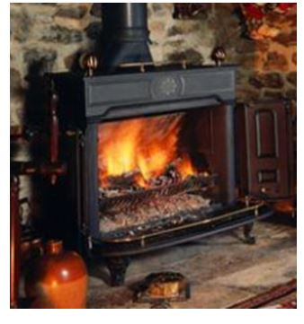 Are wood burners the future for cutting carbon emissions?'