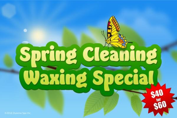 Dyanna Spa &amp; Waxing Center'