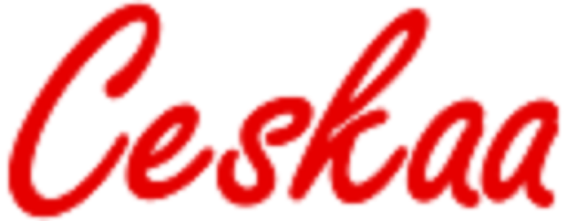 Ceskaa Market Research Logo