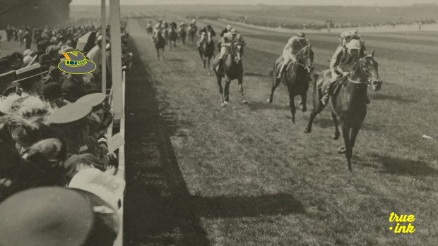 Welcome to True Stables: Home of The People's Horse