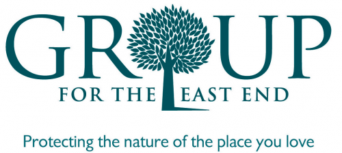 Company Logo For Group for the East End'