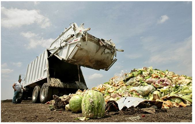 ACCORR HOTELS TACKLE FOOD WASTE PROBLEM'