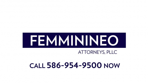 Company Logo For David C. Femminineo, Femminineo Attorneys,'