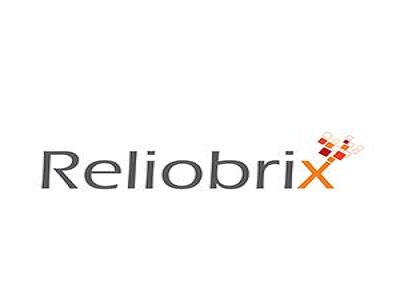 Reliobrix Consulting