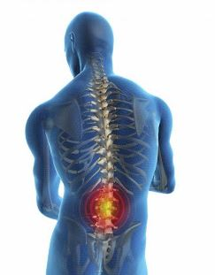 Company Logo For Elkhart Chiropractors'
