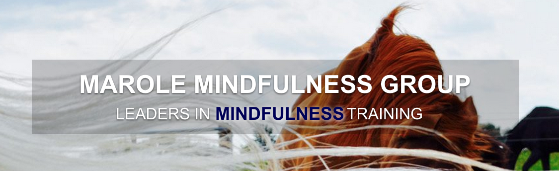 Marole Mindfulness Group'