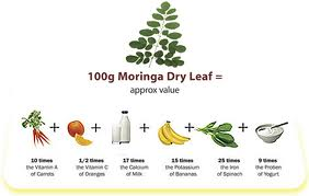 Dr oz moringa'