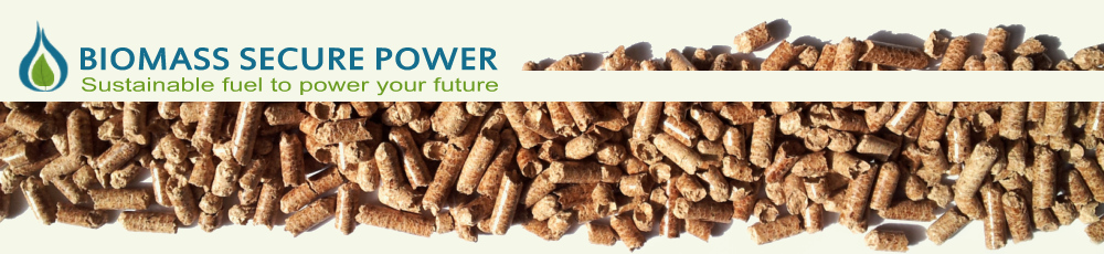 Biomass Secure Power Inc. (BMSPF) Logo