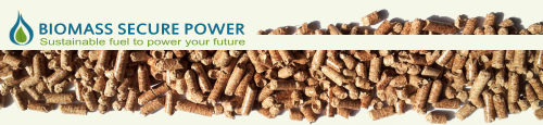 Company Logo For Biomass Secure Power Inc. (BMSPF)'