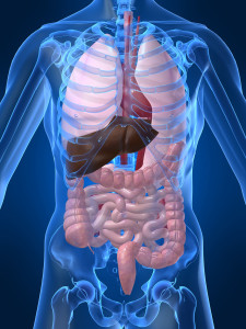 Colonoscopy Services in Los Angeles