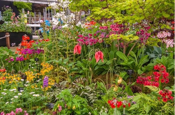 Tropicana Horticulture'