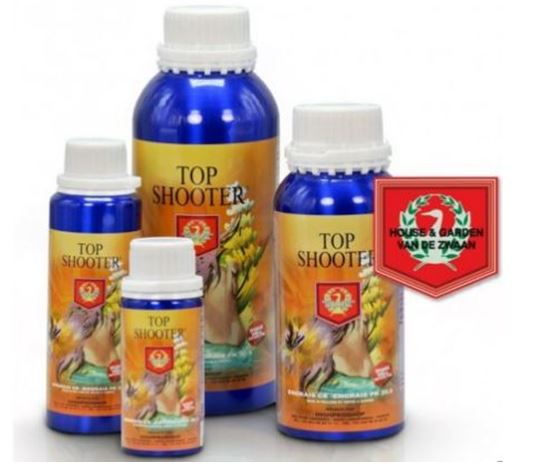 HOUSE AND GARDEN RETURN TO THE UK