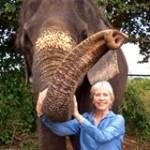 Points South Holidays'