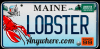 LobsterAnywhere.com'