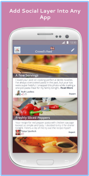 Add a social layer into any app with Crowd's Feed.