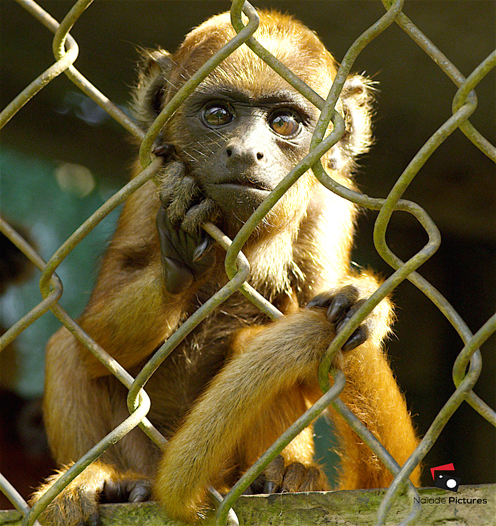 Backstage Production 5'