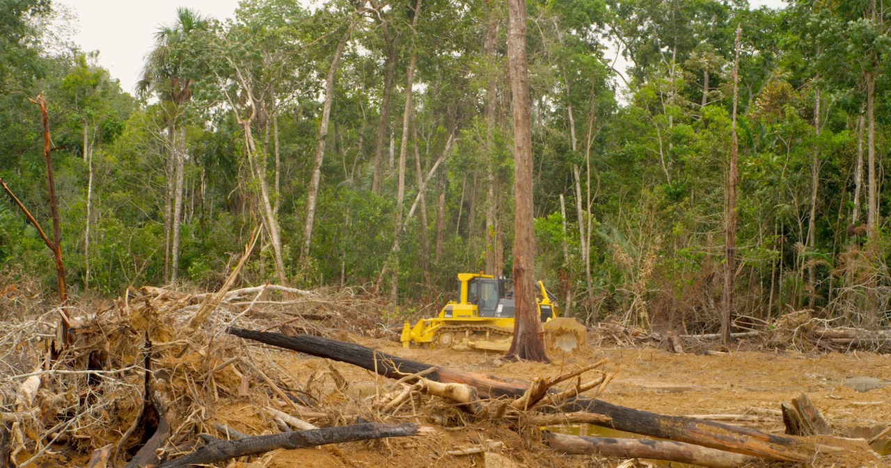 Backstage Production 6'