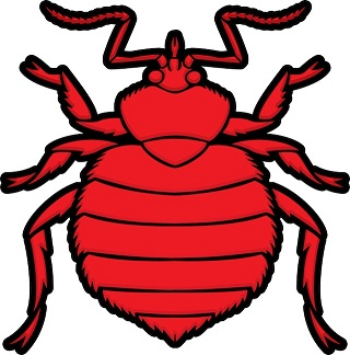 Bed Bug Traps'