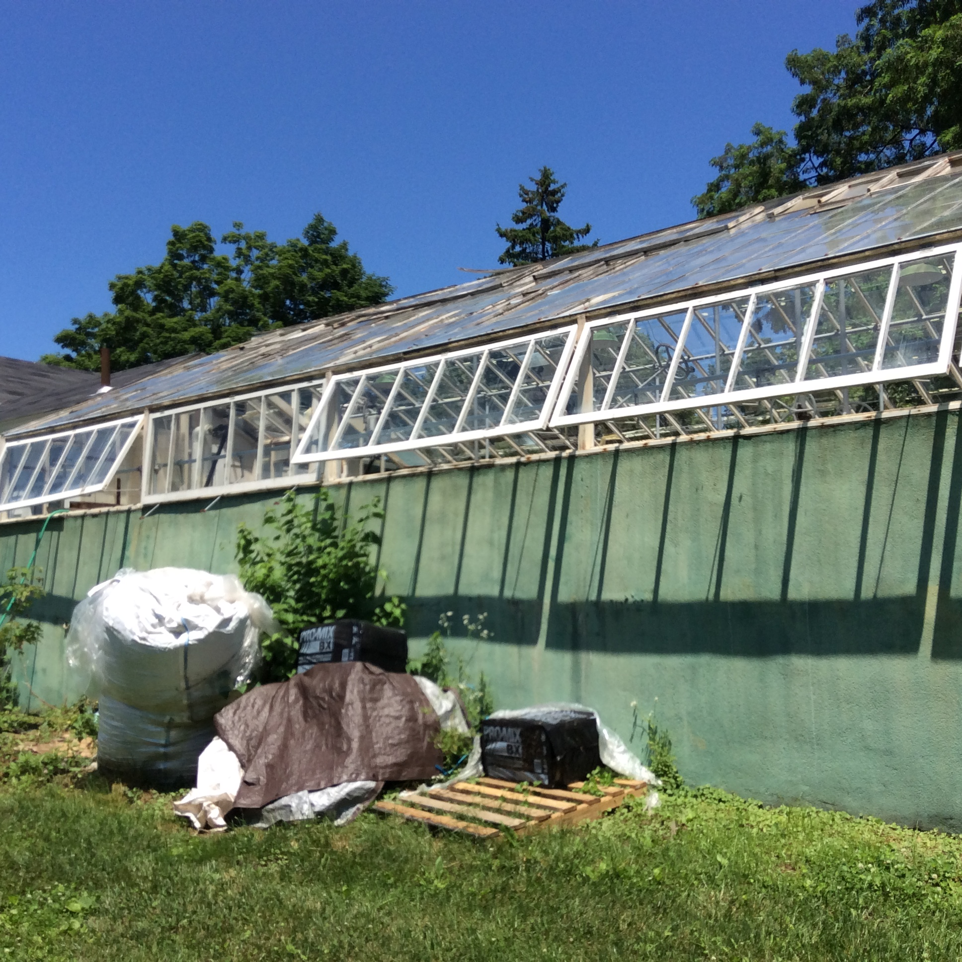 Before picture of outside of greenhouse'