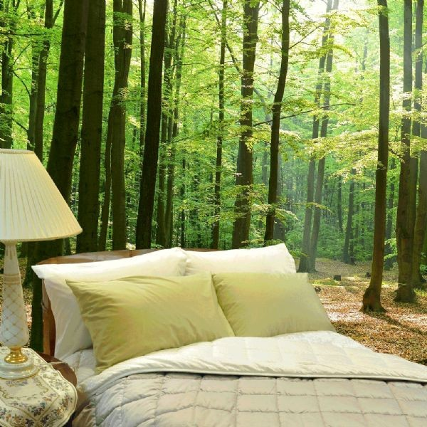 Bedding in the woodsen'