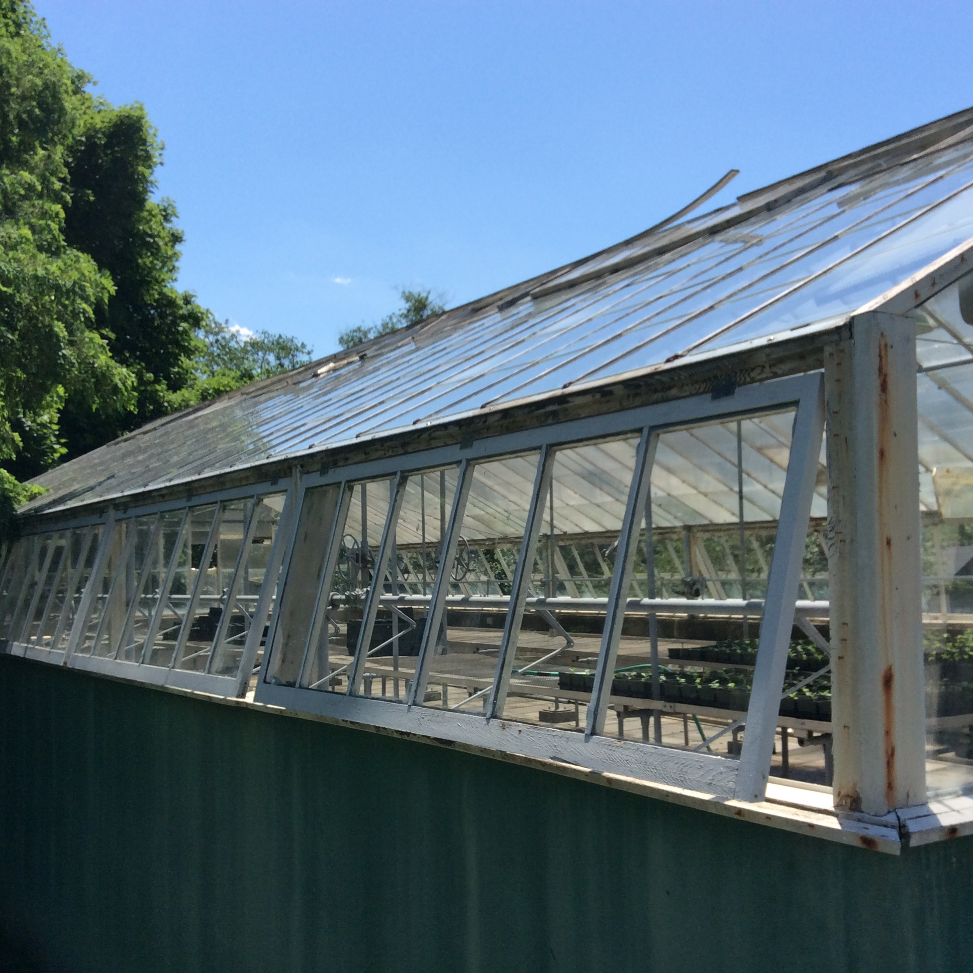 Outside of greenhouse'