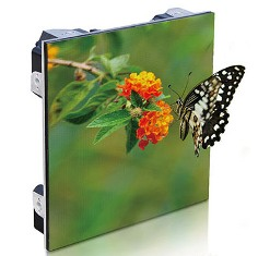 LED Screens'
