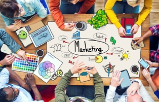 Website Growth