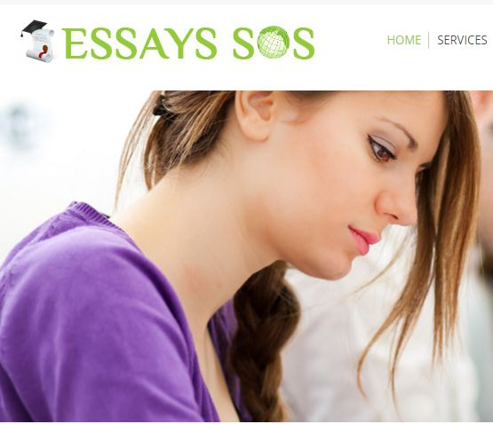 Essay writing service'
