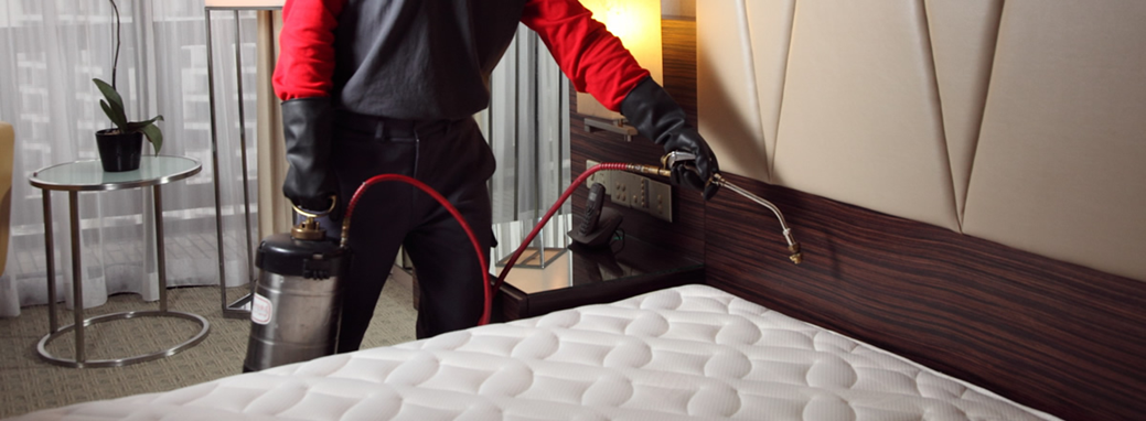 Bed bug treatment