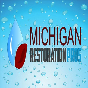 Company Logo For Michigan Restoration Pros'