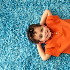 Phoenix Carpet Cleaning Hero