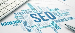 SEO Services'