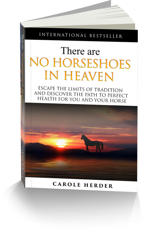 There are no Horseshoes in Heaven'