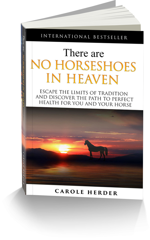 There are no Horseshoes in Heaven