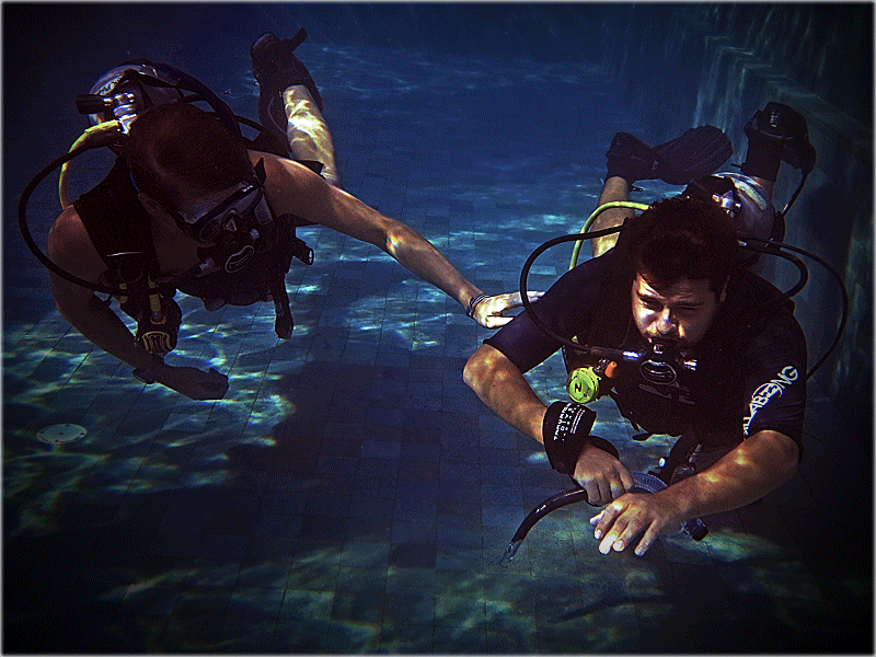 PADI Instructor Development Course (IDC) Gili Islands