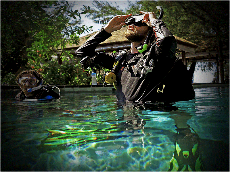 PADI Instructor Development Course (IDC) Gili Islands