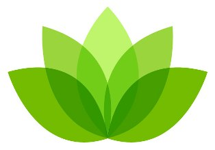 Houston Grief Counseling Practice